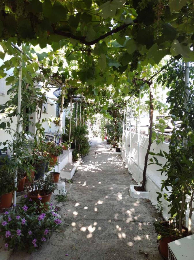 Angela studios Kassiopi Exterior foto